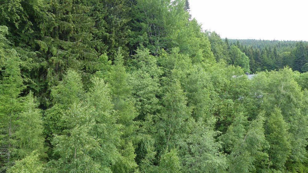 Apartman Bedrichov, Špindlerŭv Mlýn Eksteriør billede